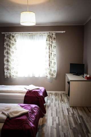 Гостевой дом Pensiunea Oxana Lipova Бюджетный двухместный номер с 1 кроватью или 2 отдельными кроватями-3